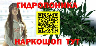 шишки Ярцево