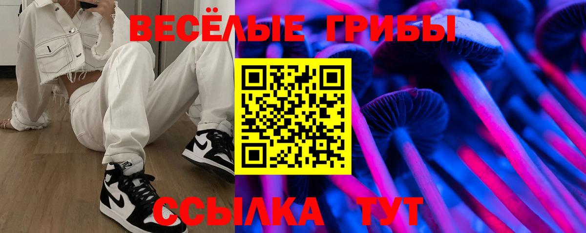 Спасск-Дальний  Галлюциногенные грибы мухоморы  Вход с VPN 